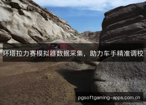 环塔拉力赛模拟器数据采集，助力车手精准调校